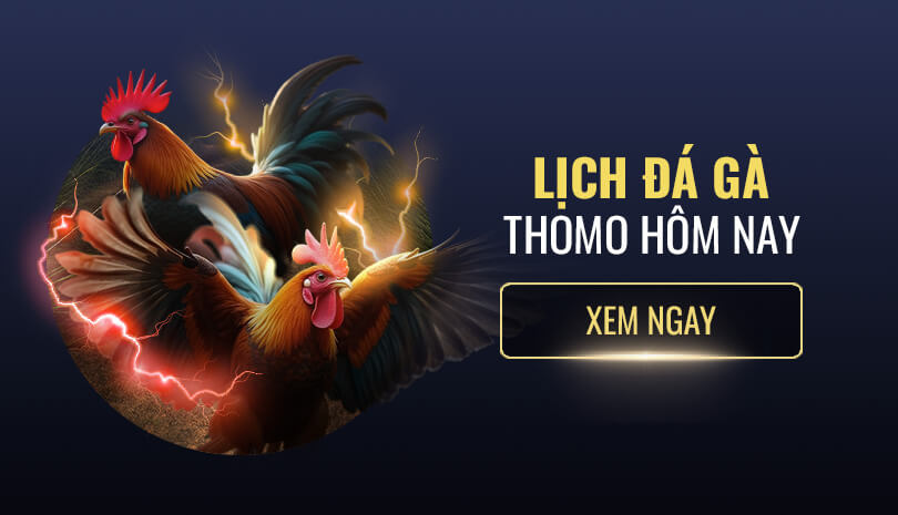 Lịch đá gà Thomo trực tiếp hôm nay tại MCW - mcw-vietnam.in.net
